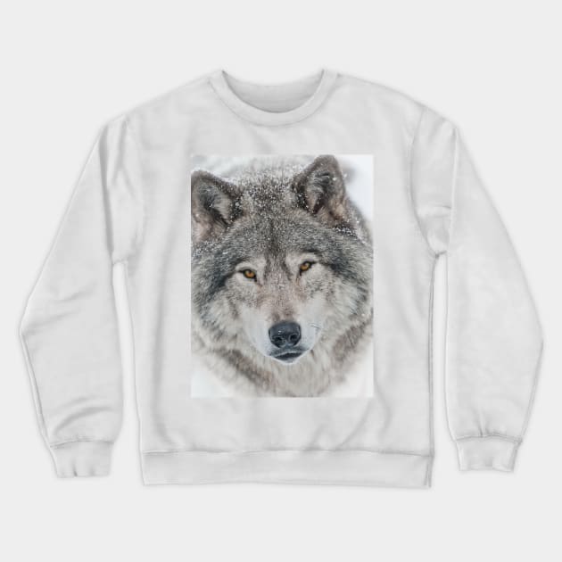 Timber Wolf Crewneck Sweatshirt by jaydee1400